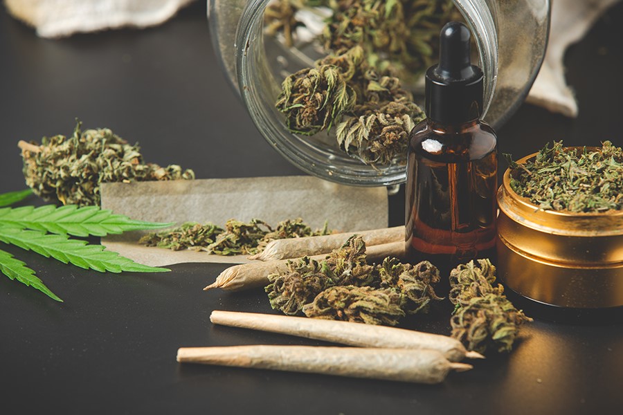 اخبار و مقالات به روز گیاهان دارویی
